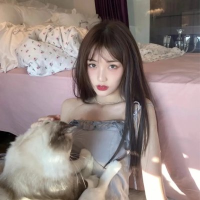 没人瞭波斯猫